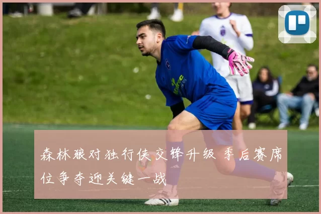 森林狼对独行侠交锋升级 季后赛席位争夺迎关键一战